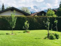 Zuverlässiger Gartenservice-Rasenmähen, Heckenschnitt und mehr! Bayern - Oberammergau Vorschau