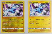 Pokémon Schaurige Herrschaft Voltolos Holo und Reverse Holo 052 Sachsen-Anhalt - Sangerhausen Vorschau