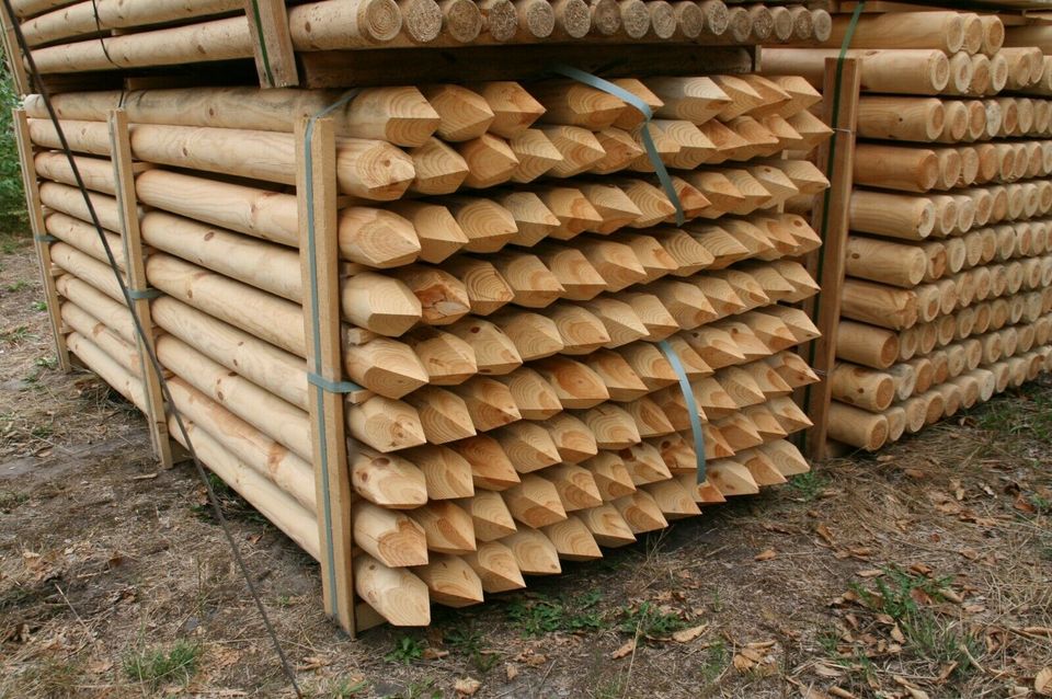 Baumpfähle - Zaunpfähle - Holzpfähle  - 9 x 250 cm - Rohware - in Wagenfeld