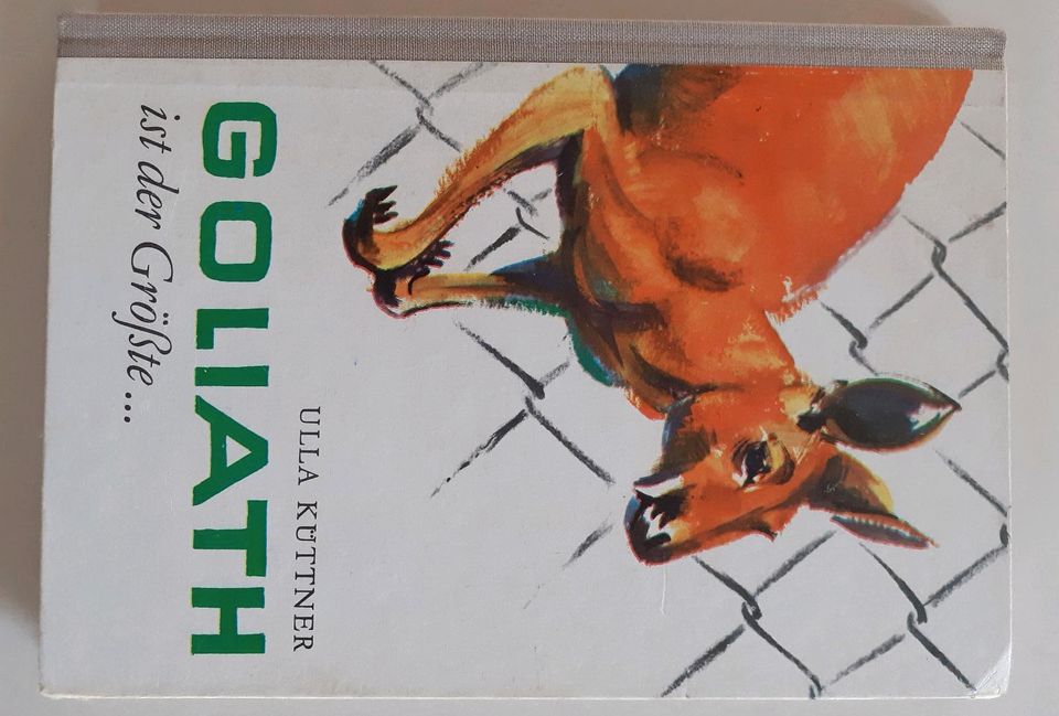 'Goliath ist der Größte...'☆1974☆U.Küttner☆DDR☆Weimar Vlg Knabe in Worbis