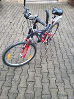 Fahrrad 26 Zoll Bayern - Eltmann Vorschau