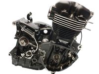 Motor Triumph Bonneville T120 Motorblock Engine Brandenburg - Neustadt (Dosse) Vorschau