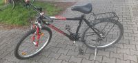 Fahrrad 26zoll Baden-Württemberg - Ketsch Vorschau