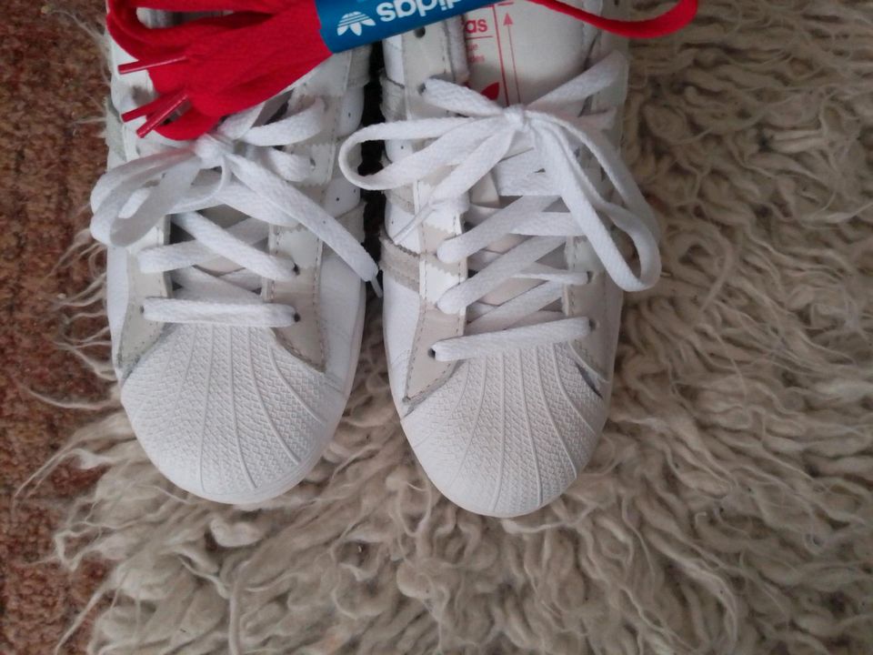 Unikat Adidas Superstar ADYY in Altenburg