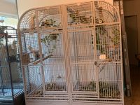 Biete sehr große Innenvoliere/Käfig für Papageien Bayern - Beilngries Vorschau