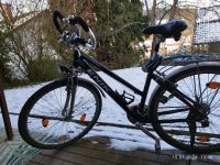 Fahrrad Enik Cityfahrrad Trekkingrad Marburg - Wehrda Vorschau