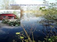 Ferienhaus ALLEINLAGE 1,5ha im Wald, amTeich+Kanal Anglerparadies Niedersachsen - Leer (Ostfriesland) Vorschau
