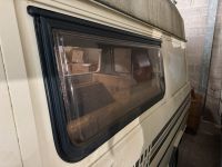 Weinsberg Fenster 56x55 & 114x50 Fiat Ducato 280 Van Nordrhein-Westfalen - Linnich Vorschau