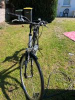 Arizona Fahrrad 28 Zoll Nordrhein-Westfalen - Lage Vorschau