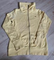 EDC Sweatjacke Gr. S gelb Niedersachsen - Suddendorf Vorschau