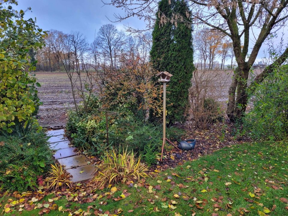 Top Lage! Wunderschönes Einfamilienhaus, in Langenbrügge in Lüder