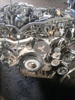 Motor  VW AMAROK  DDX 3,0TDI  43tkm  komplett Mecklenburg-Vorpommern - Neubrandenburg Vorschau