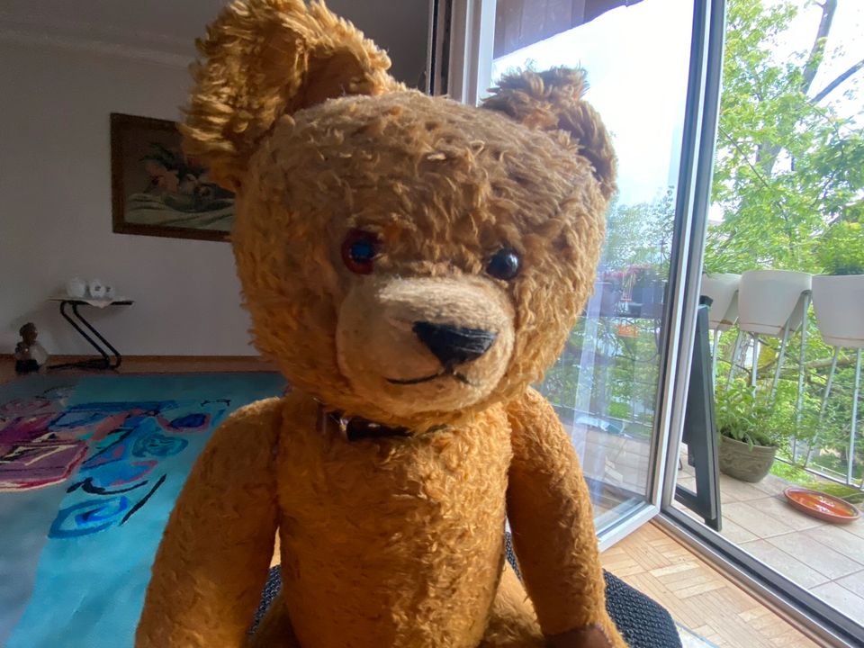 Uralte  Teddy  dürfte 40/50 Jahre sein in Frankfurt am Main