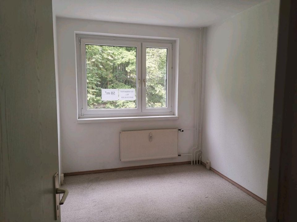 3-Zimmer-Wohnung 58 qm direkt am Stadtpark mit Balkon + Badewanne in Chemnitz