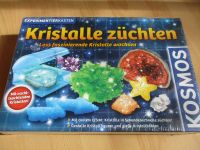 Kristalle züchten Maxi (Kosmos Experimentierkasten): OVP! Bayern - Stein Vorschau