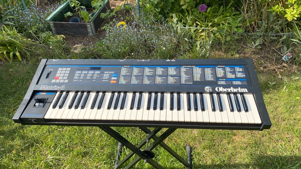 Oberheim Matrix 6 Synthesizer in Griesheim