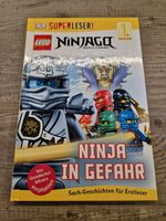 Buch - Lego Ninjago - Ninja in Gefahr - Erstlesebuch 1. Klasse Bayern - Lonnerstadt Vorschau