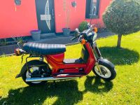 Simson Roller ( SR 50 ) Bj. 89 !! Top Zustand !! Mecklenburg-Vorpommern - Neubrandenburg Vorschau