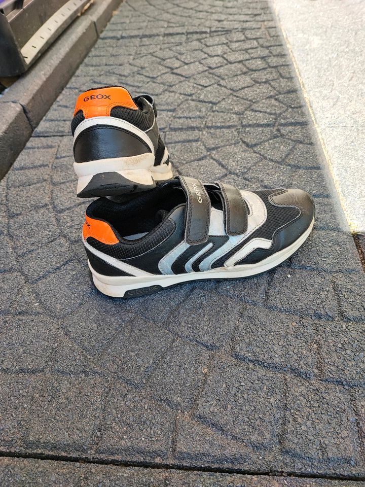 Sneakers Halbschuhe von Geox Gr 38 sehr guter Zustand in Hamburg