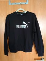 Pullover der Marke "PUMA", (2 Stück vorhanden), UNGETRAGEN Sachsen-Anhalt - Burg Vorschau
