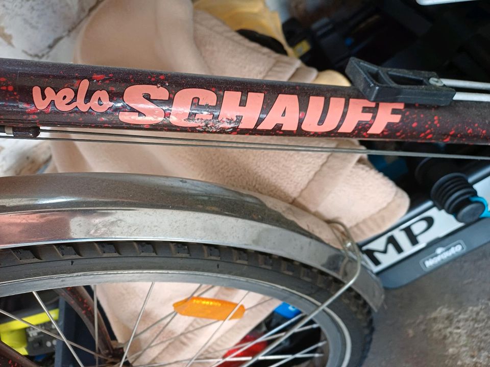 Schauff Velo Rad in Sankt Augustin