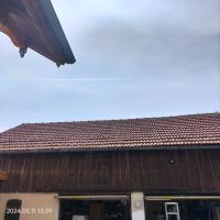Dachziegel zu verschenken Bayern - Arnstorf Vorschau