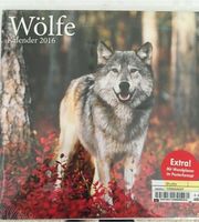 Kalender mit Wolfsbildern Sachsen - Heidenau Vorschau