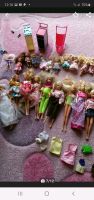 Riesen Barbie Sammlung Schleswig-Holstein - Kisdorf Vorschau