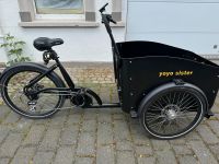 Lasten E-Bike Fahrrad Nordrhein-Westfalen - Lügde Vorschau
