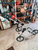 Golf Trolley Nordrhein-Westfalen - Bocholt Vorschau