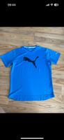 Herren Sport Funktionsshirt Puma Bayern - Großostheim Vorschau