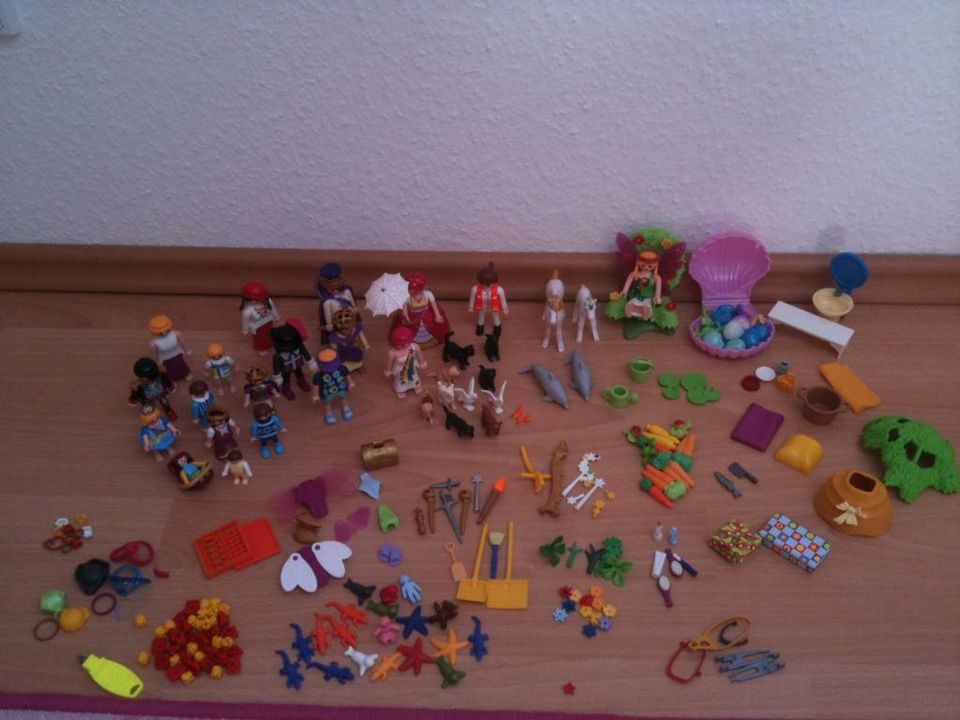 Riesige Playmobil-Sammlung in St Katharinen