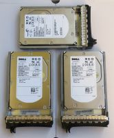 Dell Seagate SCSI SAS Festplatten für Computer PC NAS Server Raid Nordrhein-Westfalen - Moers Vorschau