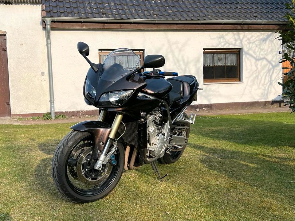 Yamaha FZS Fazer 1000 in Lychen