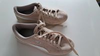 Puma softfoam  Sneaker beige Gr. 40,5 Nordrhein-Westfalen - Winterberg Vorschau