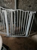 Türschutz treppenschutz Gitter Hessen - Korbach Vorschau