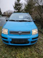 Fiat Panda 1.1 Top Zustand Baden-Württemberg - Ketsch Vorschau