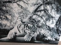 Tiger Bild schwarz/weiß 140 x 100 cm Rheinland-Pfalz - Simmertal Vorschau