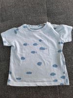 Neuwertiges hellblaues T-Shirt mit Fischen Reserved 74 Nordrhein-Westfalen - Bad Lippspringe Vorschau