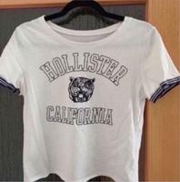 Tshirt (Gr. M) Nordrhein-Westfalen - Hamm Vorschau