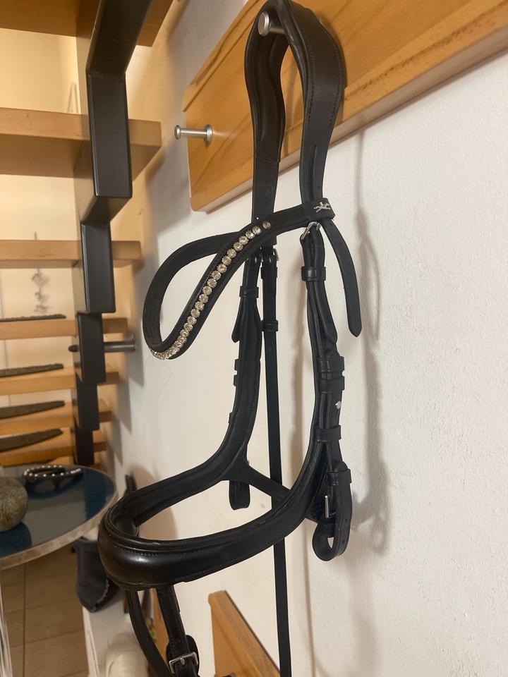 Schockemöhle Trense Equitus Beta Gr VB COB schwarz neuwertig in Neumünster