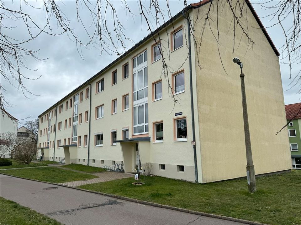 Frisch renovierte 2-Raumwohnung im sanierten Altbau in Strehla