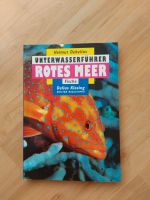 Unterwasserführer Rotes Meer Schleswig-Holstein - Norderstedt Vorschau