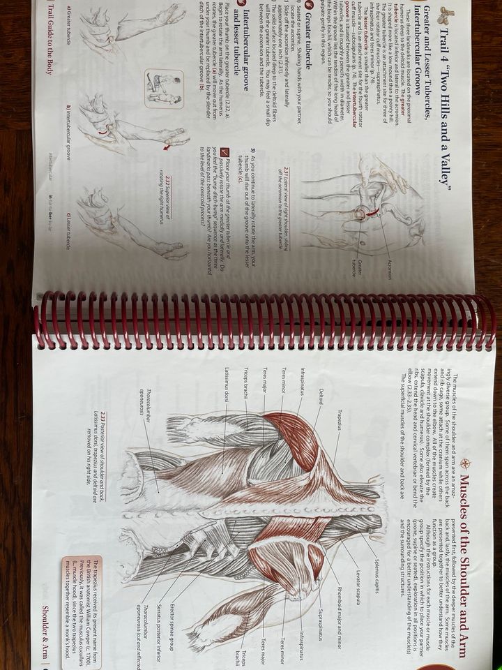 Trail Guide to the Body - Anatomie Buch - englisch in Gronau (Westfalen)