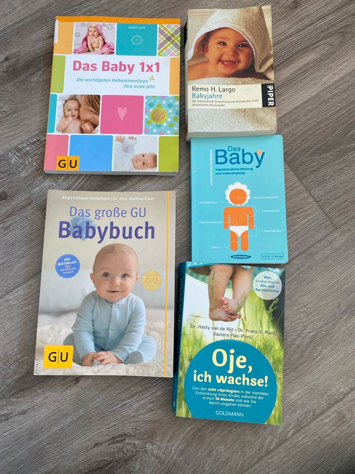 5 Ratgeber Baby für Eltern, Buch, Gesamtpreis in Bad Hersfeld