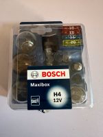 Bosch Maxibox H4 fast komplett neuwertig Niedersachsen - Gittelde Vorschau