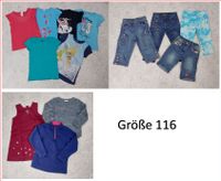 Set Gr. 116 T-Shirts, Shorts, Kleid, Pulli, Fleecejacke Rheinland-Pfalz - Böhl-Iggelheim Vorschau