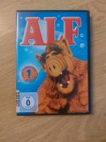 Alf DVD Sammlung komplett Saarland - St. Wendel Vorschau