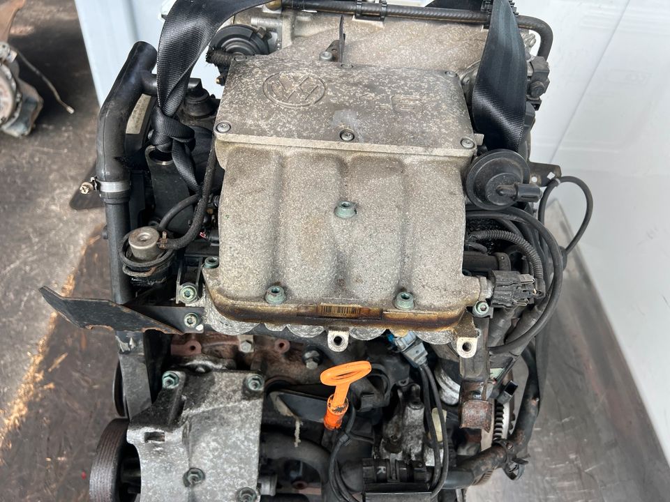 Motor AKS VW Golf Cabrio 1,6 170Tkm KW74 100PS in Wilnsdorf