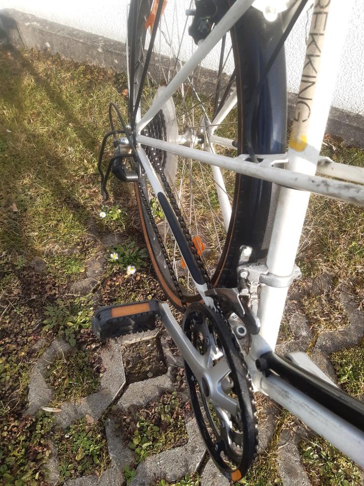 28er Damen-Trekkingrad der Marke Rixe aus dem Fachhandel in Aulendorf